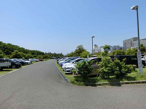 整備された緑の多い駐車場
