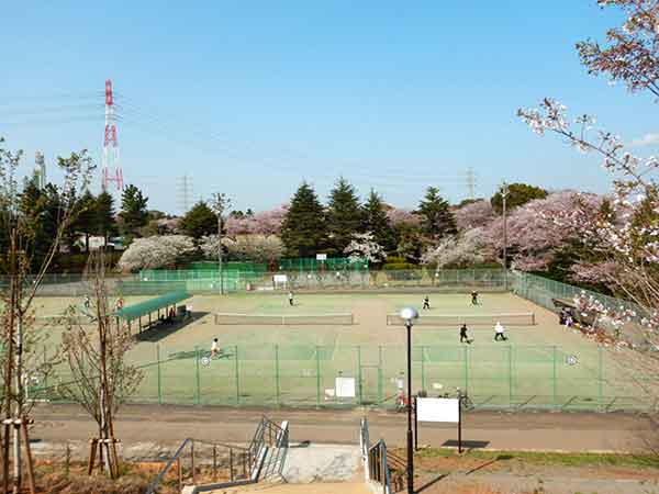 春の陽気のなかオムニコートでテニスをしているグループ