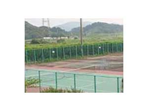 緑の中のテニスコート