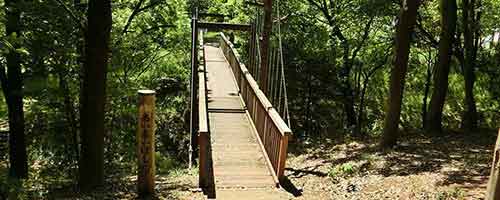 緑に囲まれた園内の吊橋