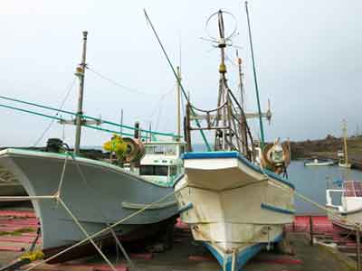 漁港に停泊している漁船