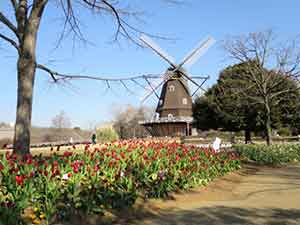 アンデルセン公園の風車と花畑