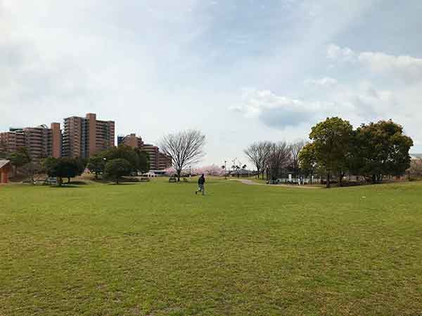 開放的な芝生広場