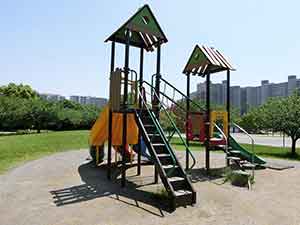 色鮮やかな遊具