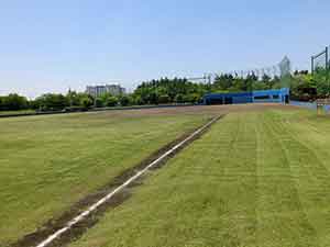 土の上に引かれた白線が眩しい球場