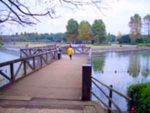 池に掛かる橋