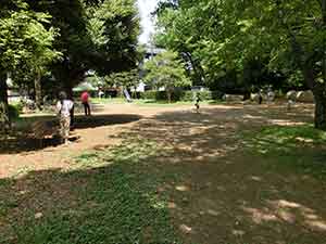 ボールでも遊べる広々とした公園