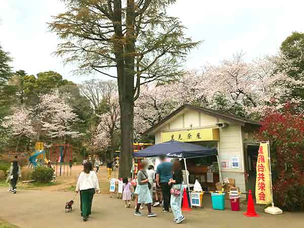里見茶屋と周辺の桜