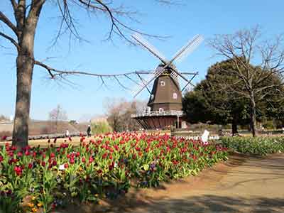 ふなばしアンデルセン公園のオランダ風車