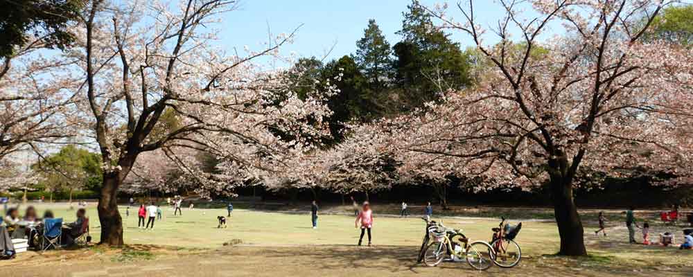 船橋市運動公園