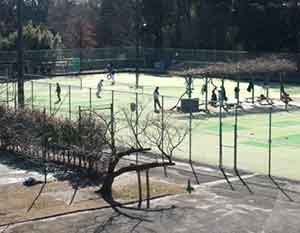 晴天のもとテニスをする人たち