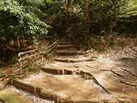 階段と山道