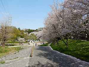 桜の横で花見をする人たち