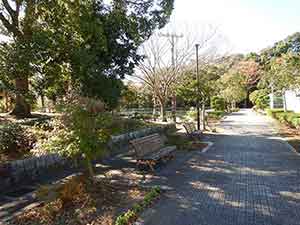 テニスコート横の散歩道