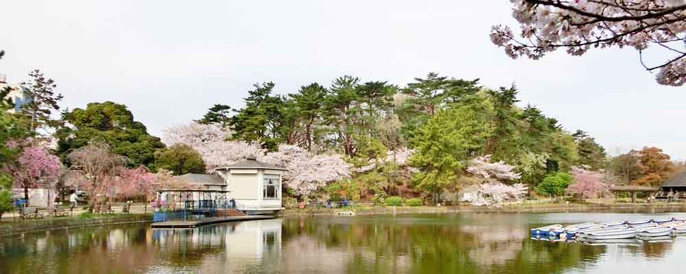 千葉公園 千葉市中央区