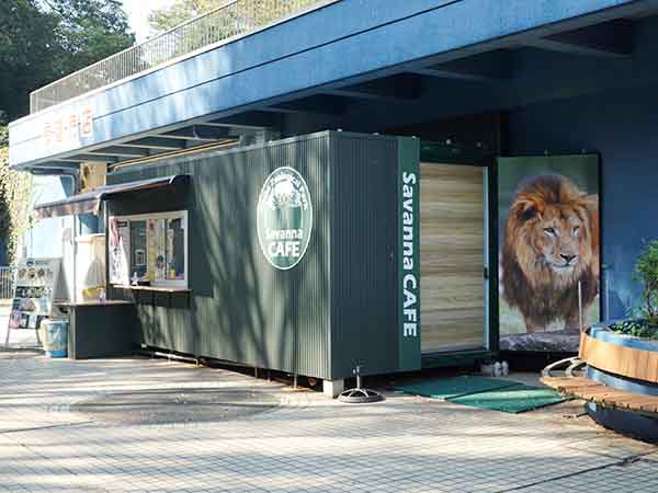 サバンナカフェの緑のロゴとライオンの写真