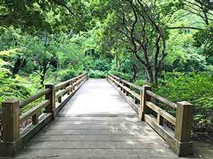 大池に架けられた木の橋