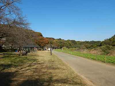 絶景の花見広場