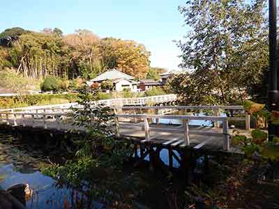 花島公園の池観賞用の木道