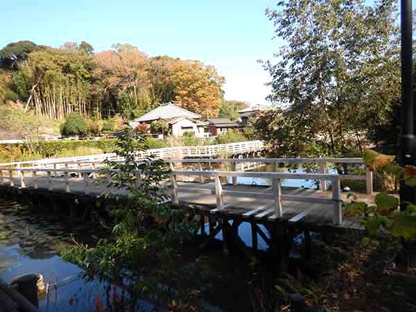 中島池景観用に作られた木道