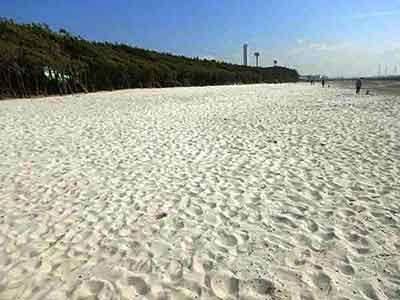 稲毛海岸の真っ白で広い砂浜