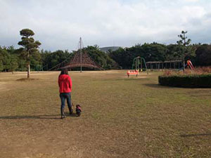 稲毛海浜公園 千葉市美浜区