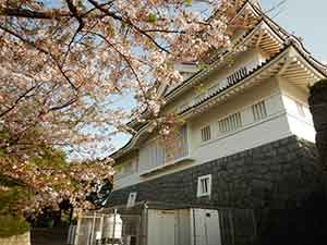 桜と千葉城