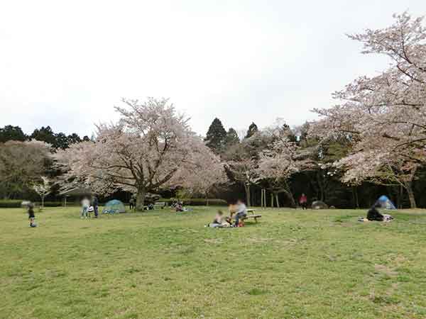 泉自然公園 千葉市若葉区