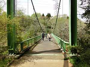 泉自然公園名物の吊橋