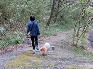 山道を犬と散歩する女性