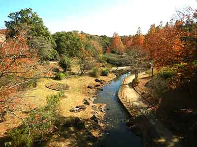 園内を流れる渓流と紅葉