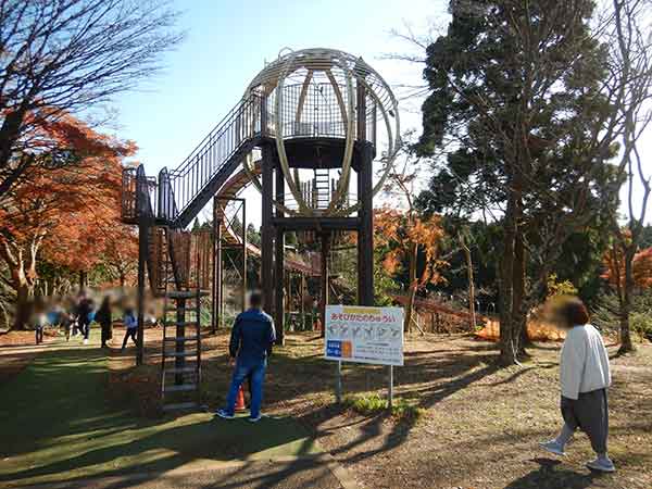 昭和の森公園のアスレチックコースで楽しむ家族