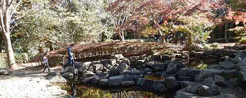 紅葉の景色と香澄の池