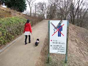 犬と散歩をする女性