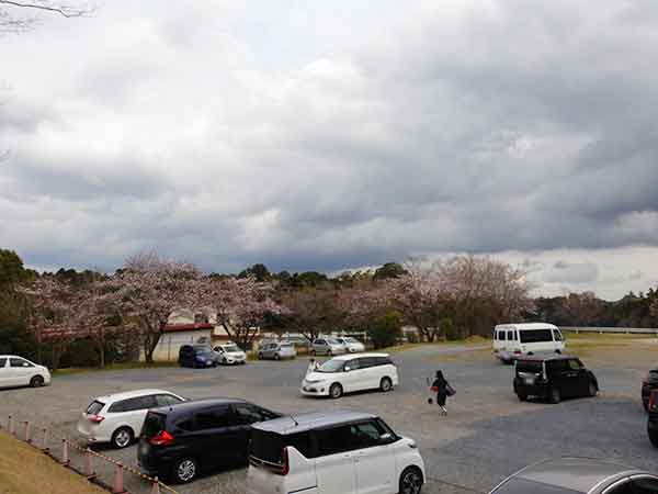 広くて空きが多い岩名運動公園の駐車場