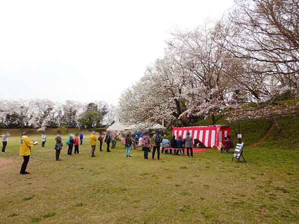 桜祭り開催中の本丸御殿周辺