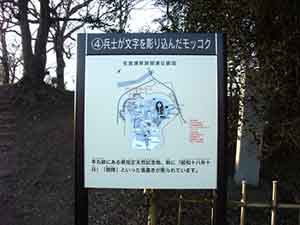 モッコクの説明書き看板