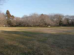 開放感ある芝生広場