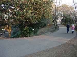 散歩する夫婦