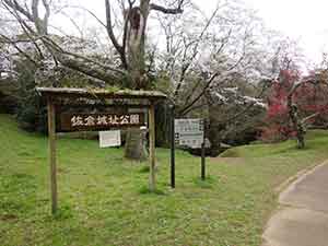 公園入口の桜
