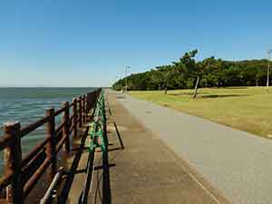富津みなと公園の海岸沿い遊歩道