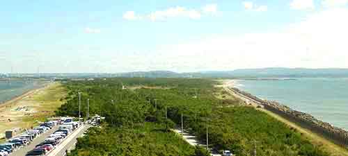 富津岬の展望台からの眺め