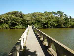 中の島公園の池にかかる橋