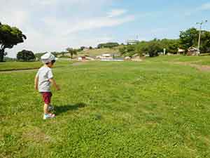 富津市の公園と観光名所