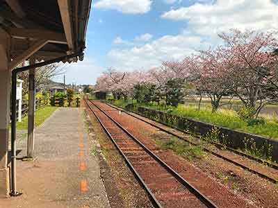 高滝駅のホームから見た桜の景色