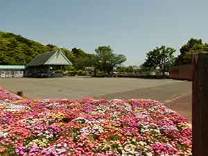 袖ヶ浦公園の入口付近に置かれた花壇