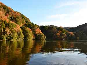 亀山湖と紅葉