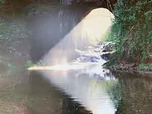 太陽光がハート型に光る濃溝の滝