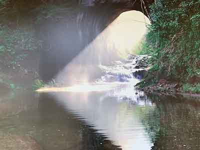 洞窟からの日光の差し込みと濃溝の滝