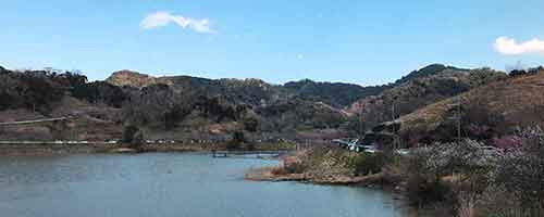 佐久間ダム湖と周辺の桜